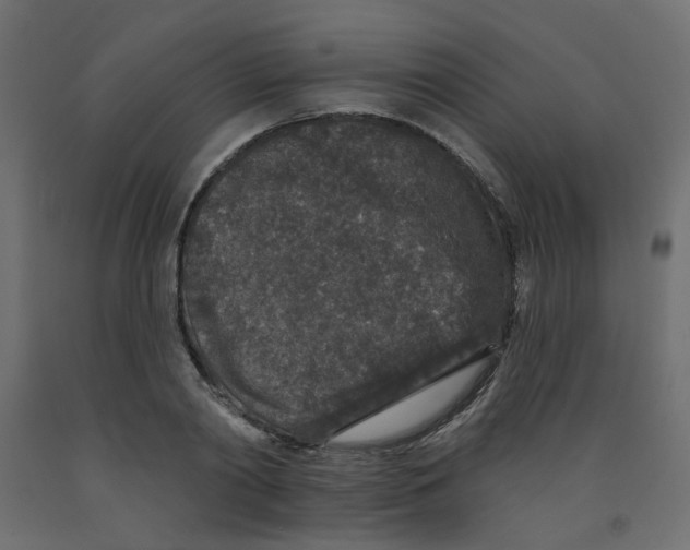 X0000092080790200710101039