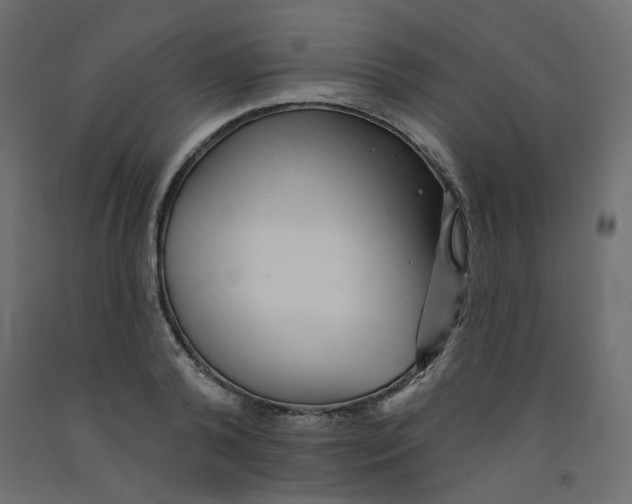 X0000092080792200710101039