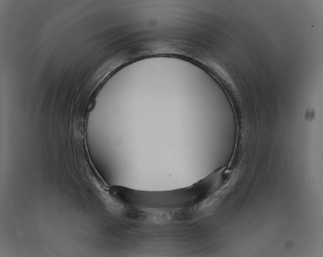 X0000092080793200710101039