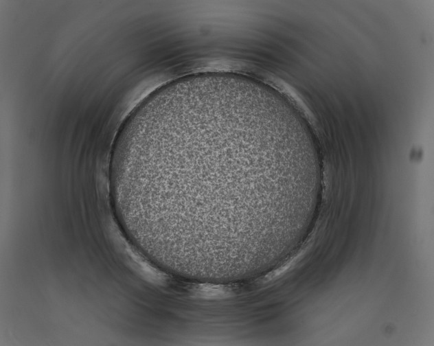 X0000092080794200710101039