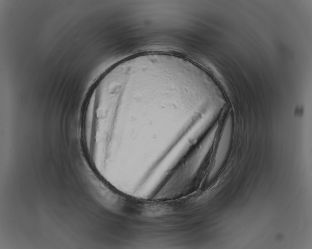 X0000092080795200710101039