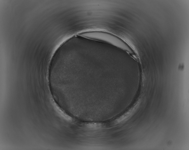 X0000092080797200710101039