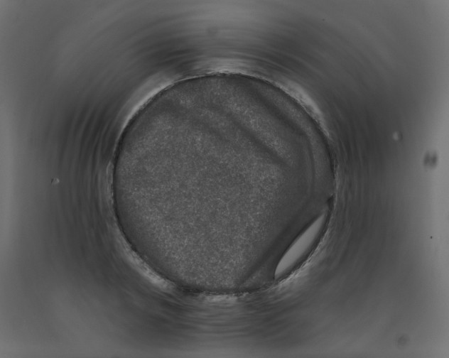 X0000092080798200710101039