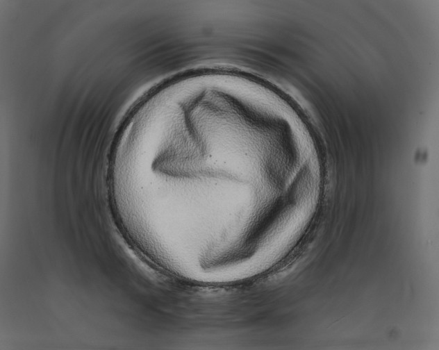 X0000092080799200710101039