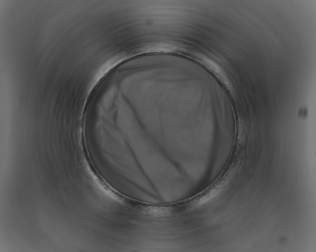 X0000092080802200710101039