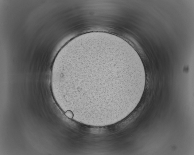 X0000092080804200710101039