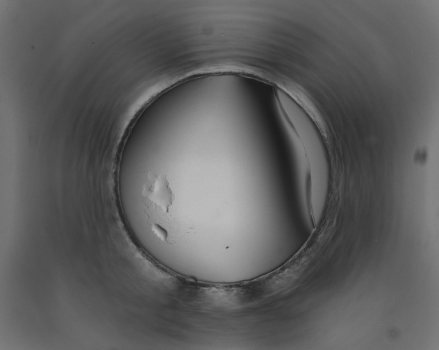 X0000092080805200710101039