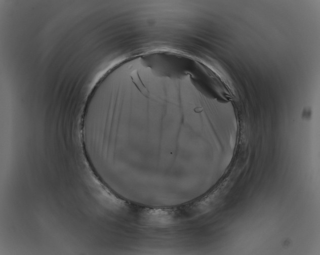 X0000092080806200710101039