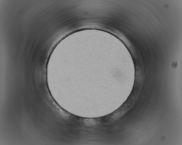 X0000092080807200710101039