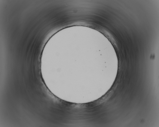 X0000092080808200710101039