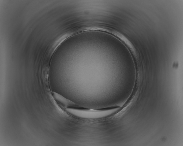 X0000092080809200710101039