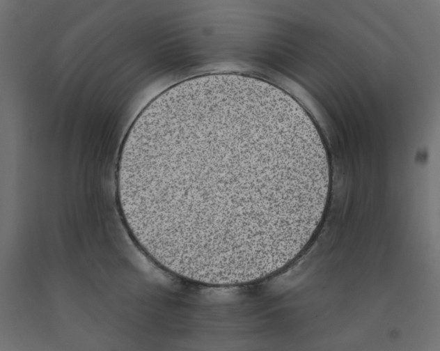 X0000092080810200710101039