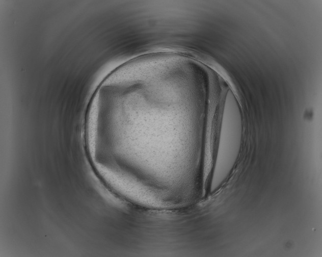 X0000092080811200710101039