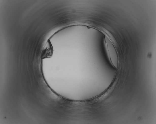 X0000092080812200710101039