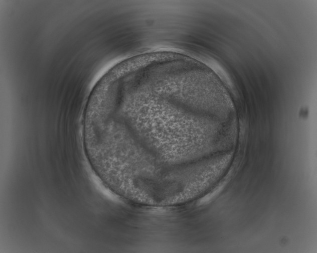 X0000092080814200710101039