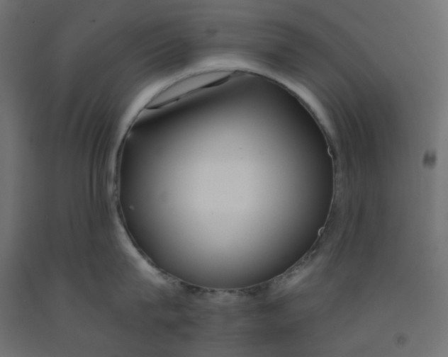 X0000092080815200710101039