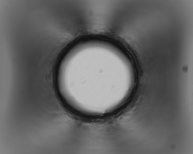 X0000092080817200710101038