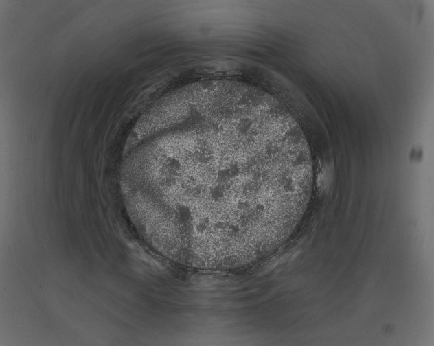 X0000092080819200710101038