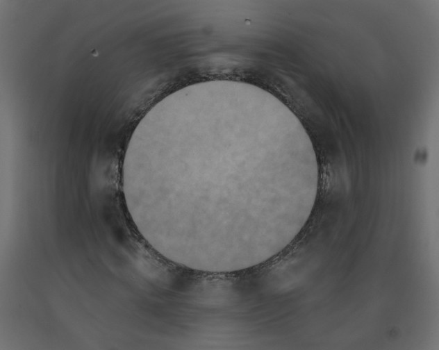 X0000092080820200710101038