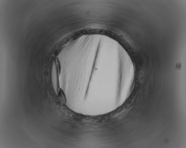 X0000092080821200710101038