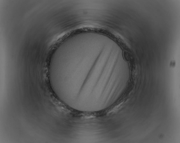 X0000092080822200710101038