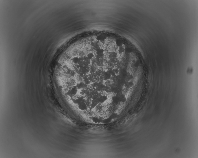 X0000092080823200710101038