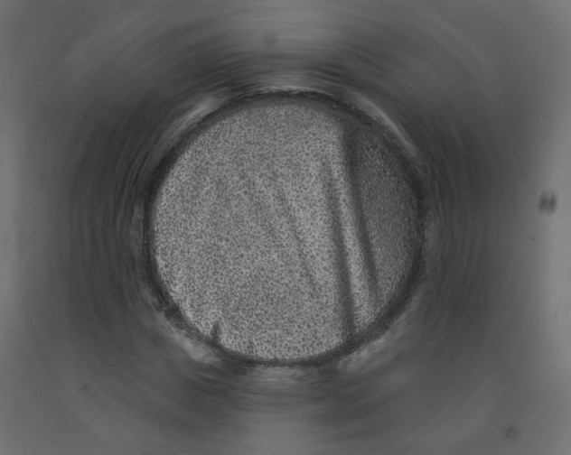 X0000092080825200710101038