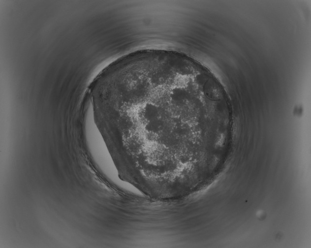 X0000092080829200710101038