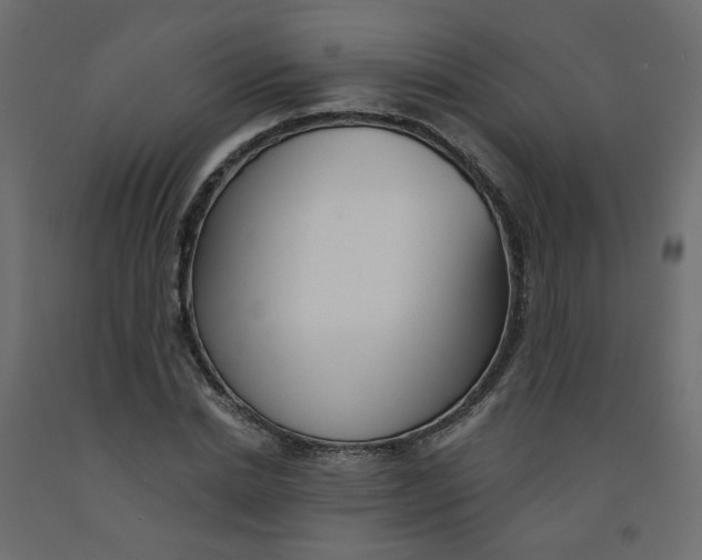 X0000092080830200710101038