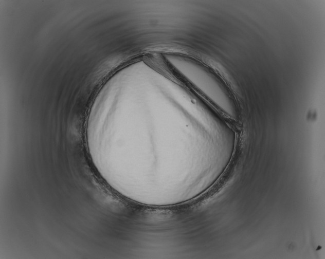 X0000092080833200710101038