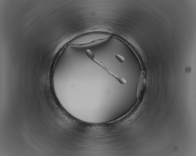 X0000092080834200710101038