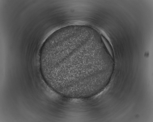 X0000092080835200710101039