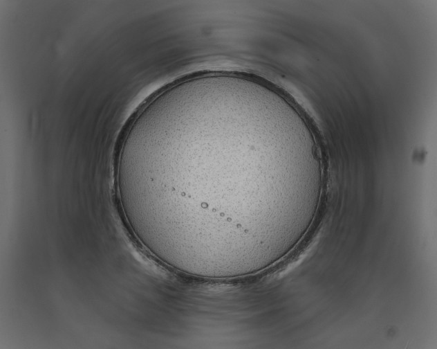 X0000092080837200710101039