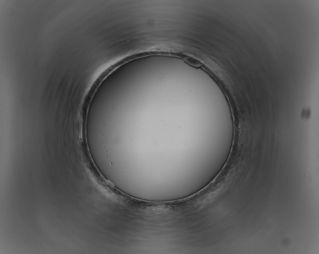 X0000092080838200710101039