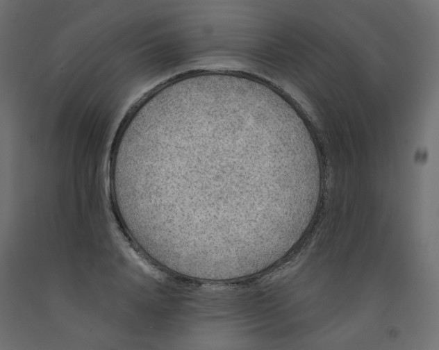 X0000092080840200710101039