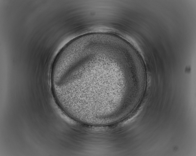 X0000092080843200710101039