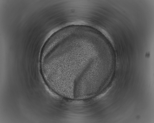 X0000092080845200710101039