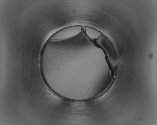 X0000092080846200710101039