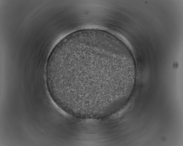 X0000092080847200710101039