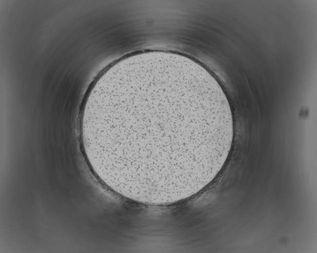 X0000092080848200710101039