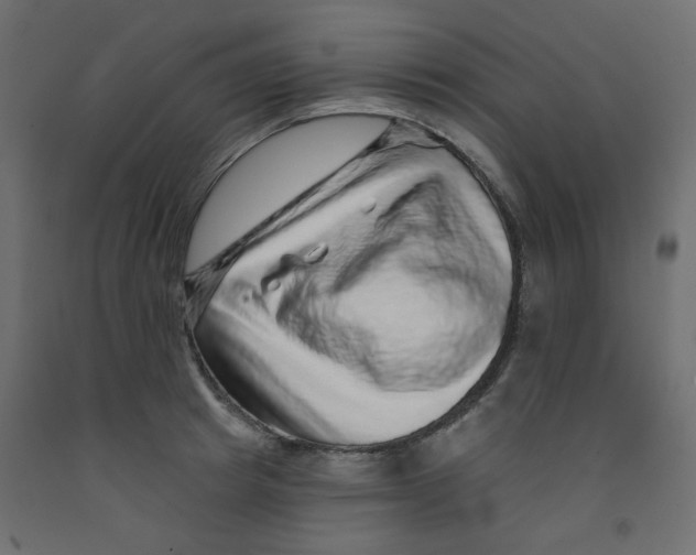 X0000092080849200710101039