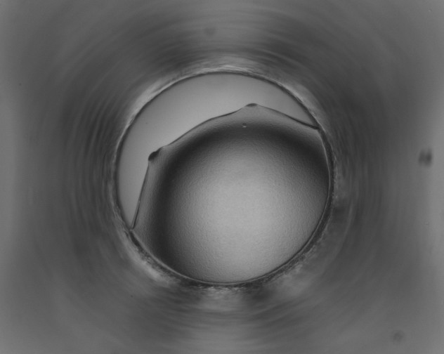 X0000092080850200710101039