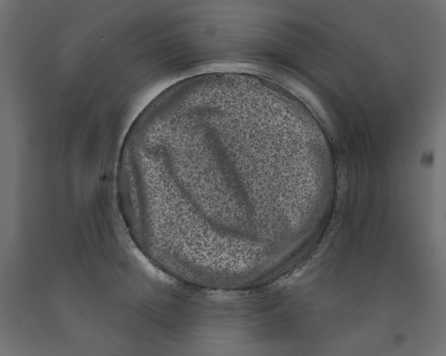 X0000092080852200710101039