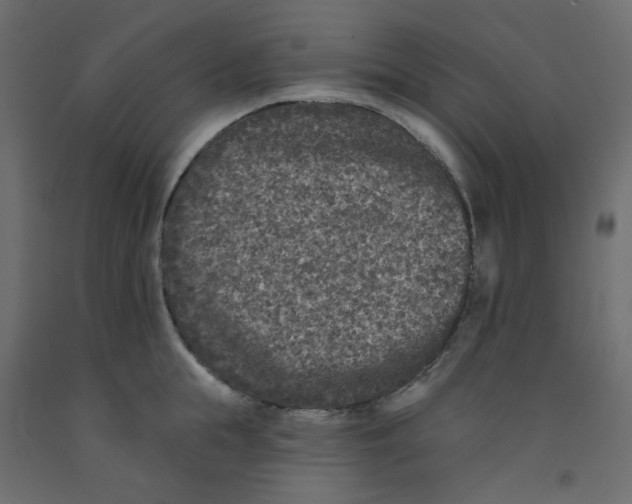 X0000092080855200710101039