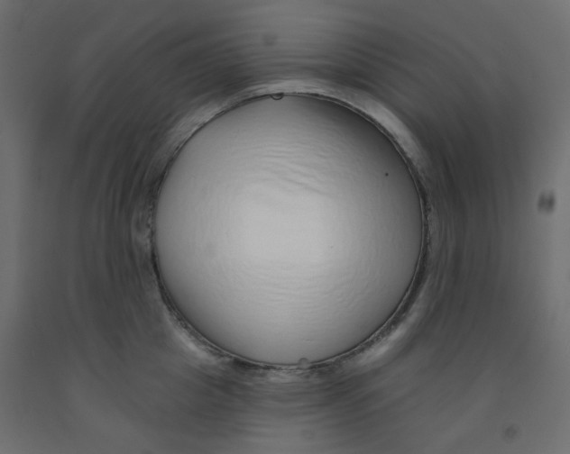 X0000092080857200710101039