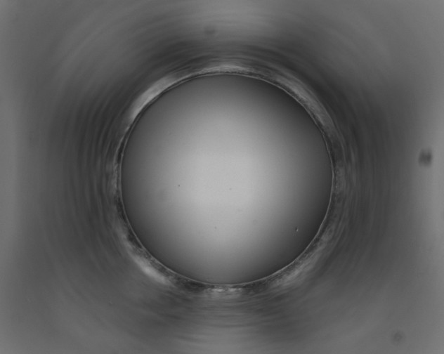 X0000092080858200710101039