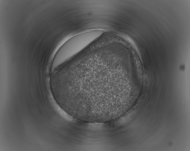 X0000092080859200710101039