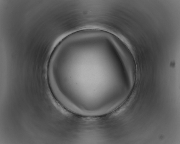 X0000092080862200710101039