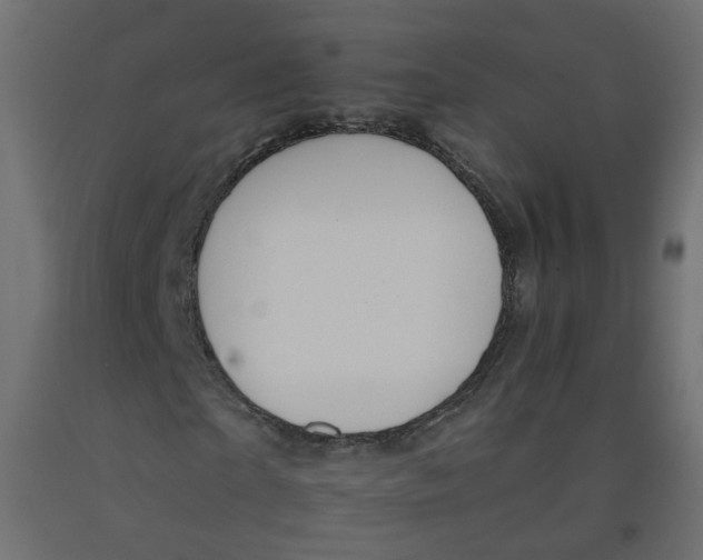 X0000092080865200710101038