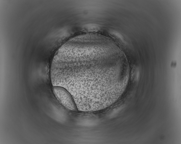 X0000092080866200710101038